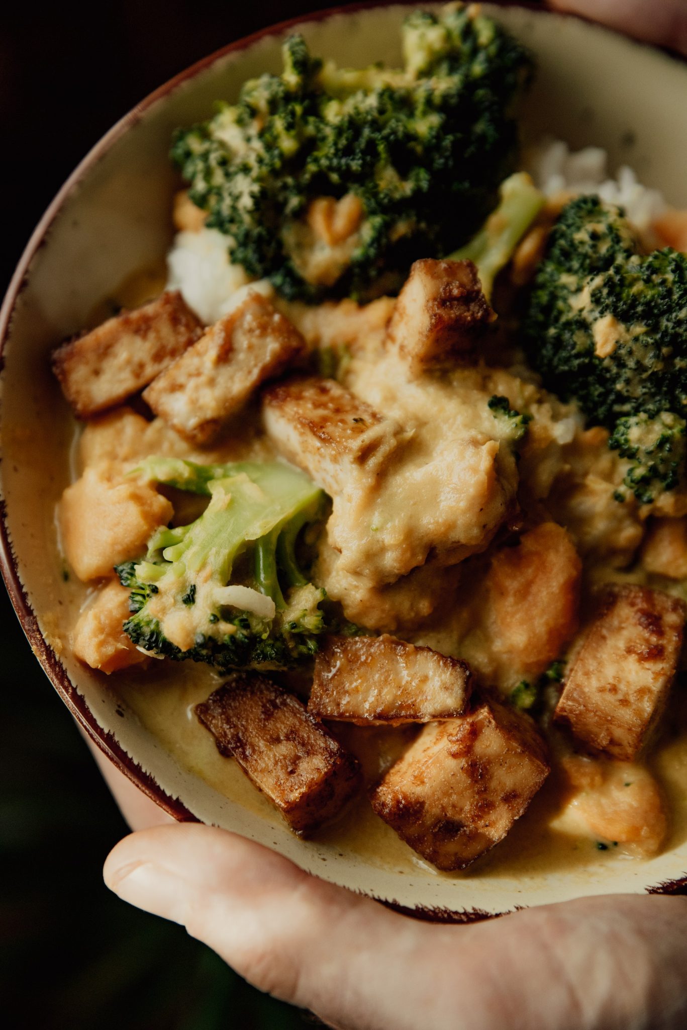 Chicken And Broccoli Diet Plan Should You Take This Diet?