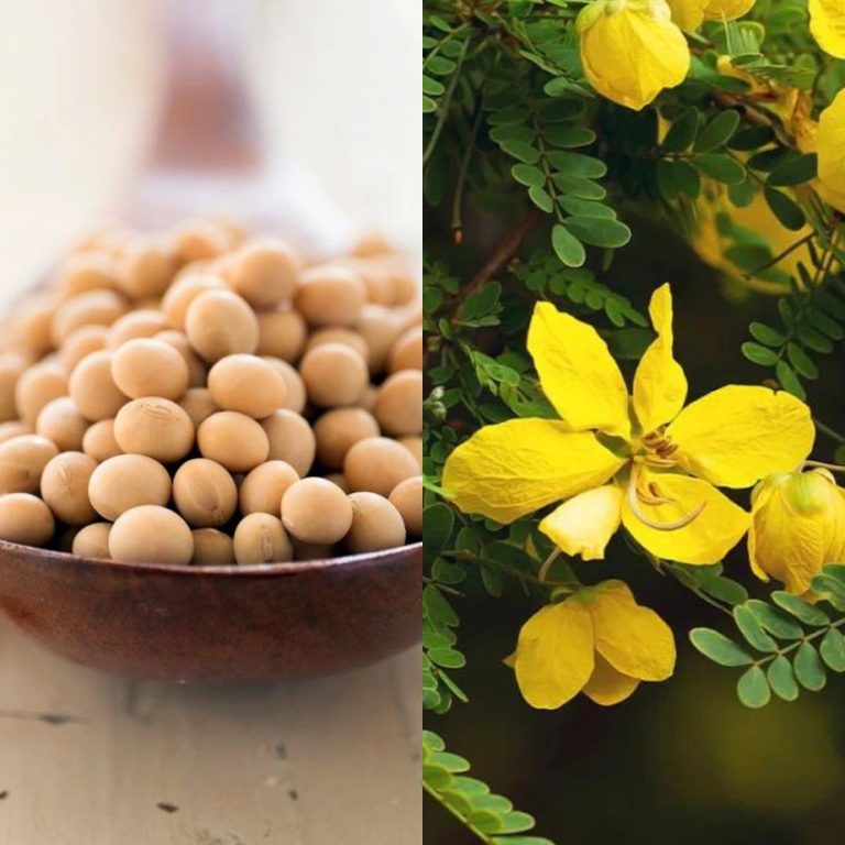 Are Meal Replacement Shakes Safe For Breastfeeding Mums?