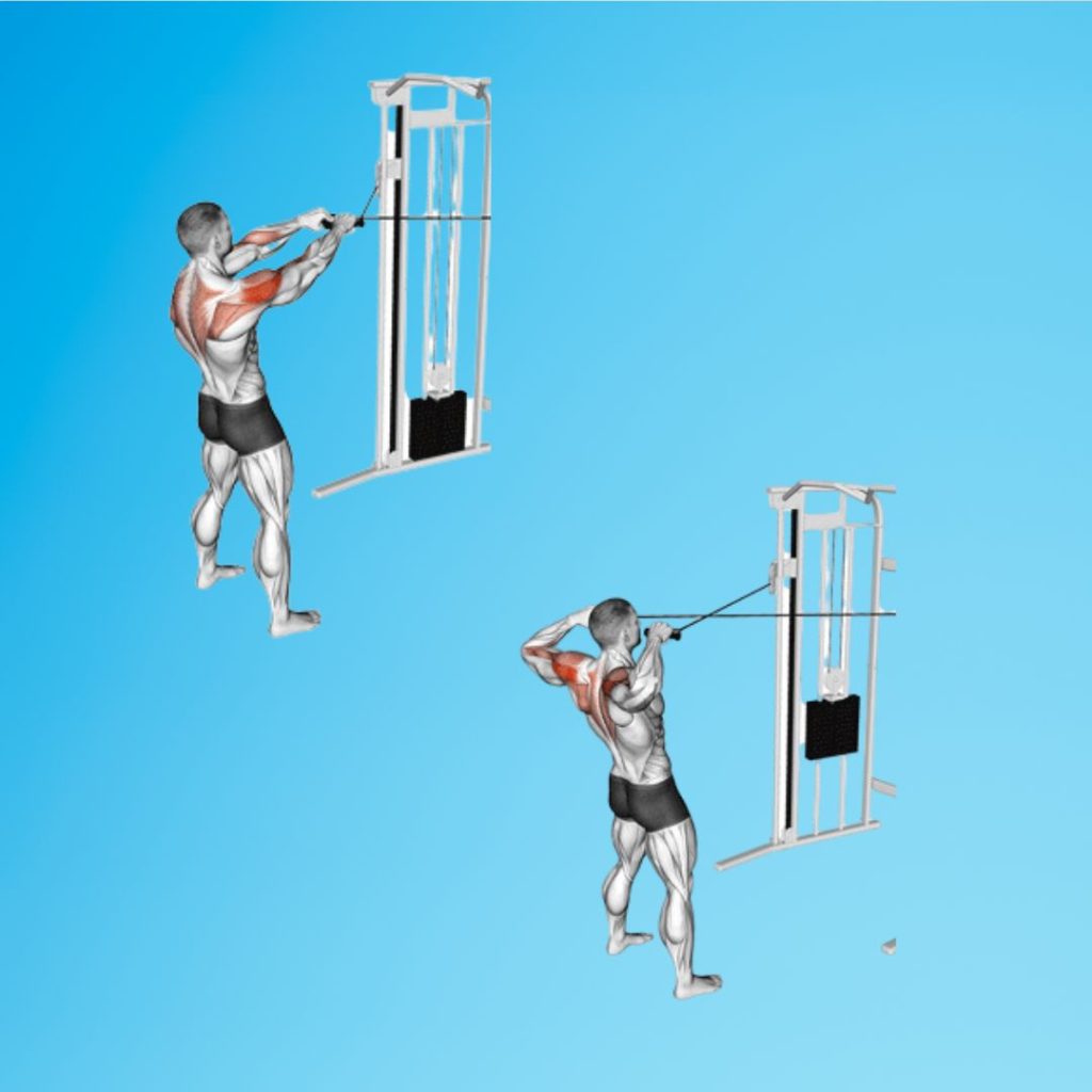 Smith Machine Back Workouts (Must Try) 11 Powerful Exercises