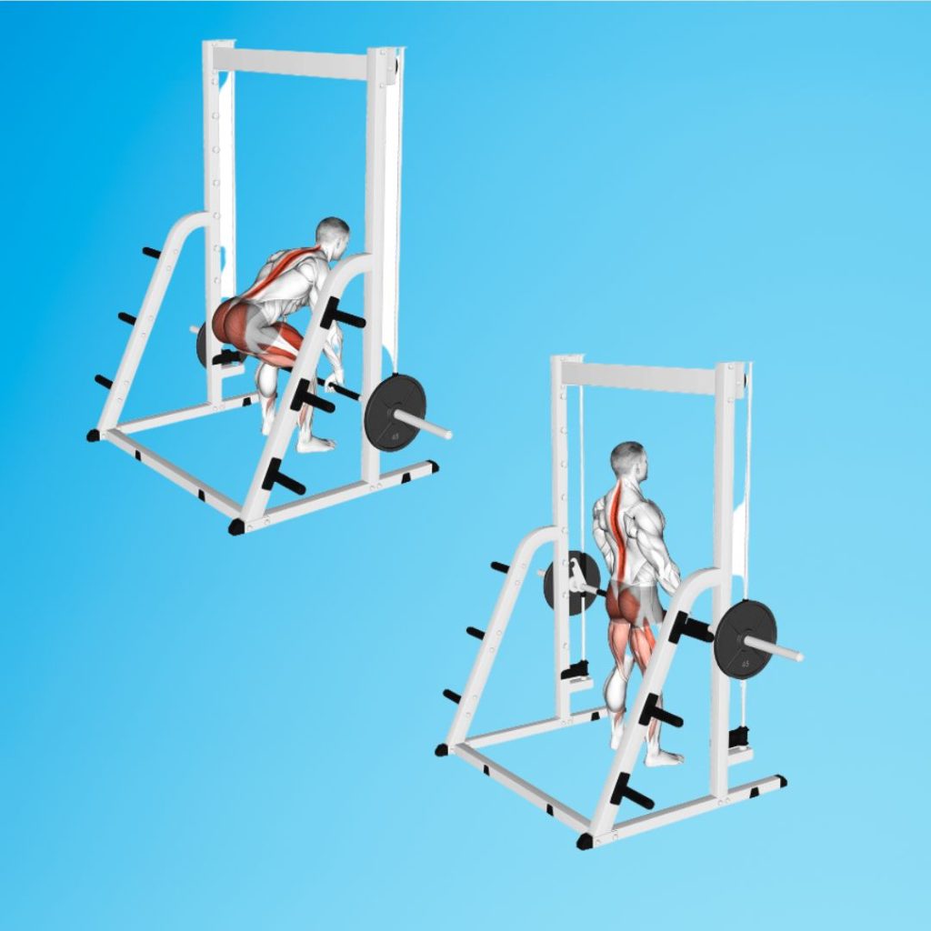 Smith Machine Back Workouts (Must Try) 11 Powerful Exercises